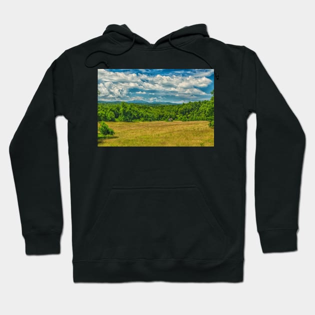 Virginia Summer Meadow Hoodie by Gestalt Imagery